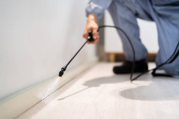 Licensed Pest Control service in Day Heights, OH - Show Me Pest Control